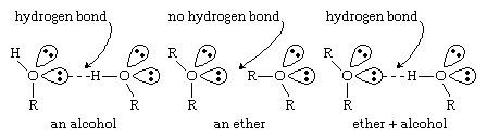 مدل های پیوند هیدروژنی در اتر ها
