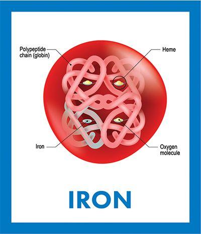 آهن در گلبول قرمز