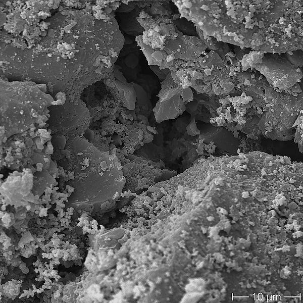 عکس میکروسکوپی کربن اکتیو 