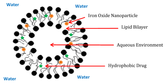 نانو ذرات اکسید آهن