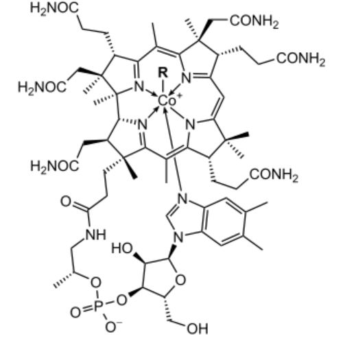 ساختار مولکولی