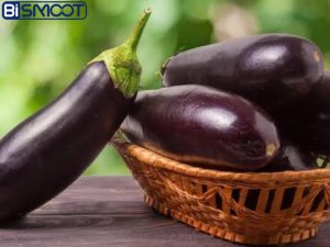بهترین کود برای بادمجان