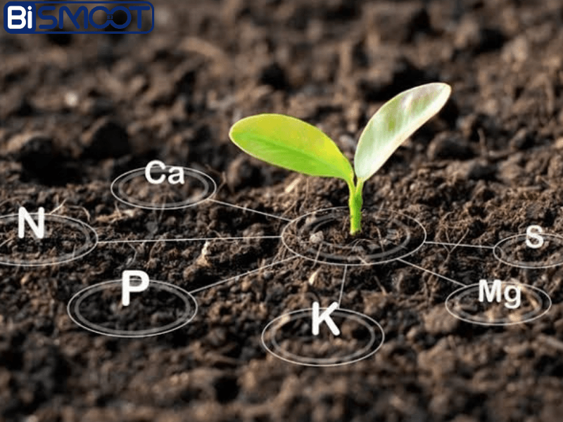 Untitled design 20260930 192101 0000 خرید کودهای میکرو و ریزمغذی