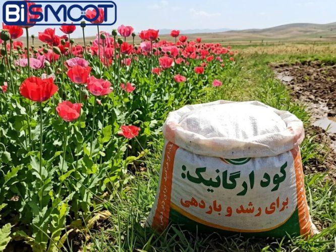 بهترین کود برای خشخاش