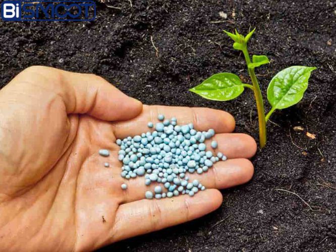 بهترین کود های کامل