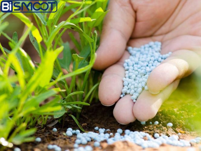 Nitrogen fertilizers